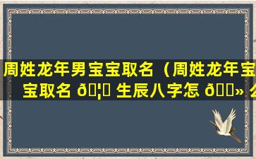 周姓龙年男宝宝取名（周姓龙年宝宝取名 🦟 生辰八字怎 🌻 么取）